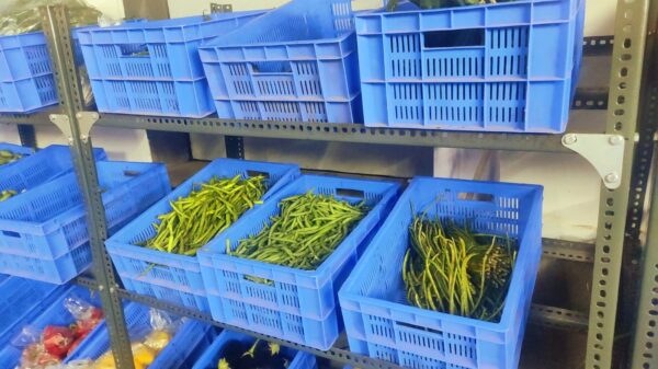 Vegetable Rack - Image 6