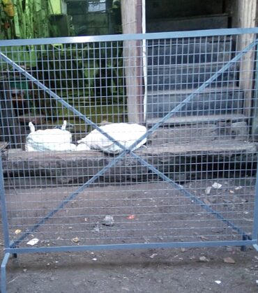 Trolly - Image 2